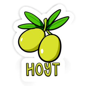 Sticker Hoyt Olive Image