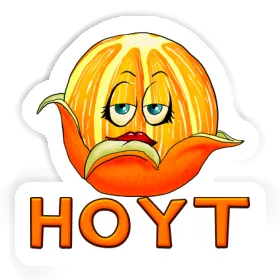 Autocollant Orange Hoyt Image