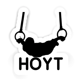 Hoyt Sticker Ring gymnast Image