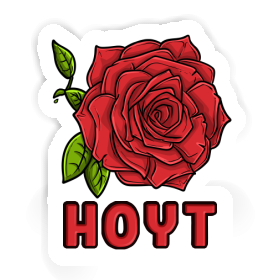 Sticker Rosenblüte Hoyt Image
