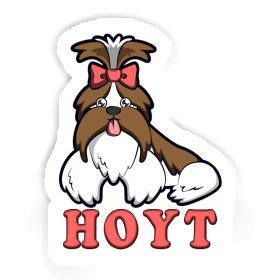 Sticker Hoyt Shih Tzu Image
