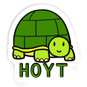 Aufkleber Schildkröte Hoyt Image