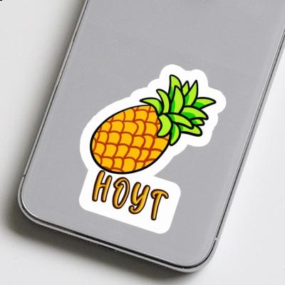 Hoyt Sticker Ananas Notebook Image