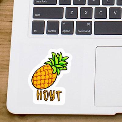 Hoyt Sticker Ananas Laptop Image