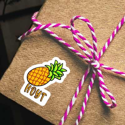 Hoyt Sticker Ananas Gift package Image