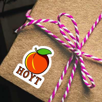 Sticker Hoyt Apricot Laptop Image