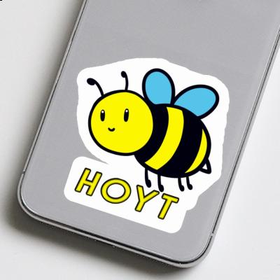 Sticker Hoyt Bee Gift package Image