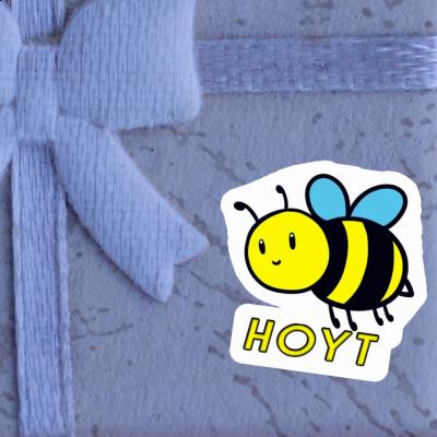 Sticker Hoyt Bee Gift package Image