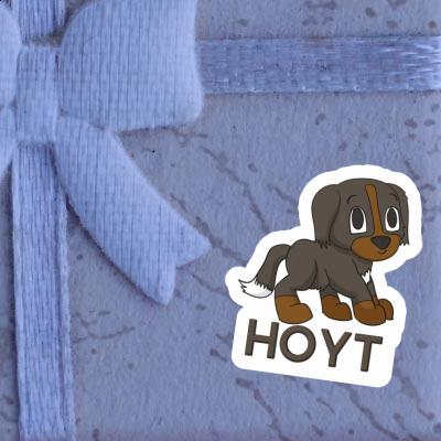 Hoyt Sticker Mountain Dog Gift package Image