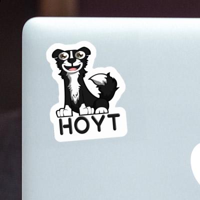 Hoyt Sticker Collie Laptop Image