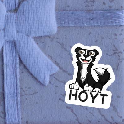 Collie Autocollant Hoyt Gift package Image