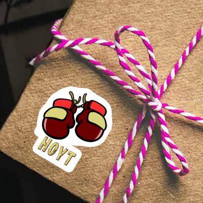 Boxhandschuh Aufkleber Hoyt Gift package Image