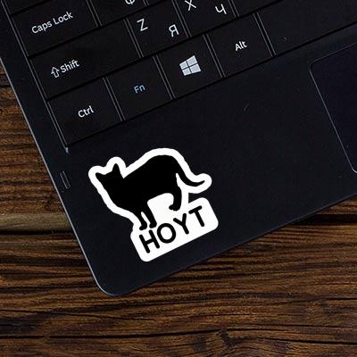 Sticker Cat Hoyt Laptop Image