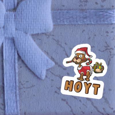 Cat Sticker Hoyt Gift package Image