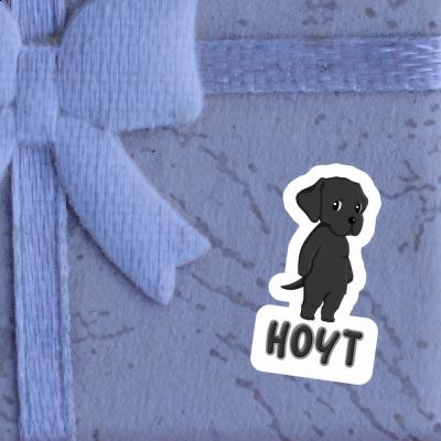 Sticker Labrador Retriever Hoyt Gift package Image