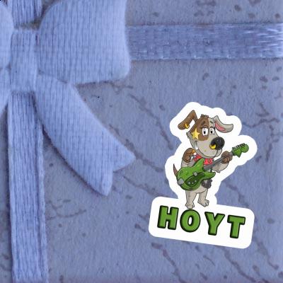 Autocollant Guitariste Hoyt Gift package Image