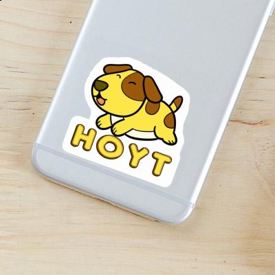 Hoyt Sticker Dog Gift package Image