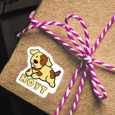 Sticker Hund Hoyt Gift package Image