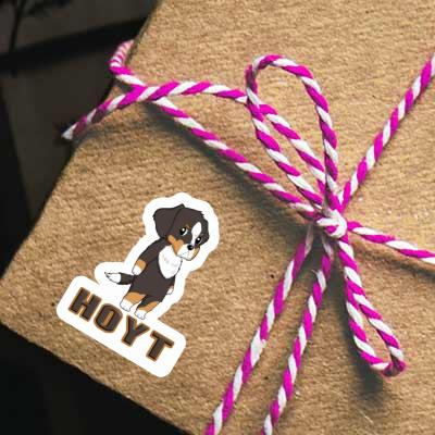 Berner Sennenhund Aufkleber Hoyt Gift package Image