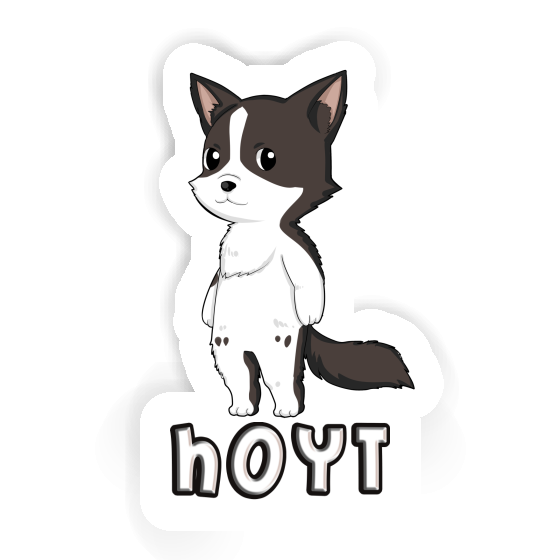 Border Collie Sticker Hoyt Laptop Image