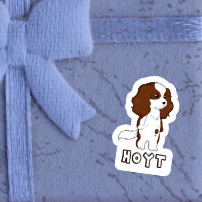 Autocollant Hoyt Cavalier King Charles Spaniel Gift package Image