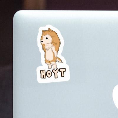 Sticker Hoyt Collie Image