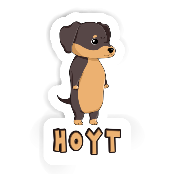 Autocollant Hoyt Dachshund Gift package Image