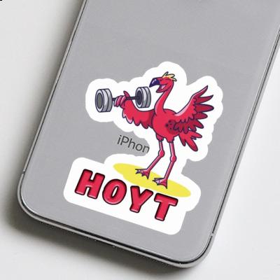 Autocollant Hoyt Flamant Laptop Image