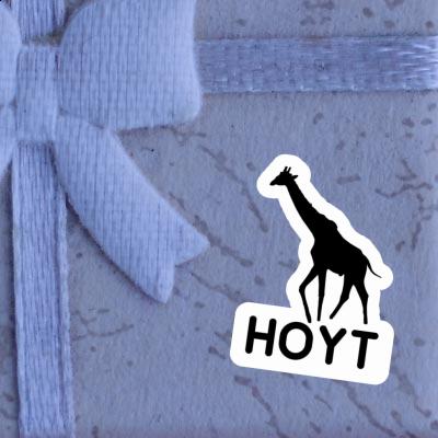 Giraffe Sticker Hoyt Laptop Image