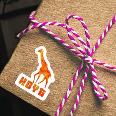 Hoyt Autocollant Girafe Gift package Image