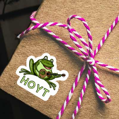Guitar Frog Sticker Hoyt Gift package Image