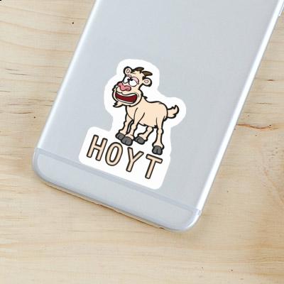 Hoyt Sticker Goat Laptop Image