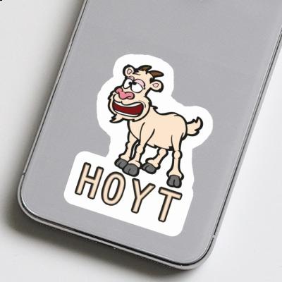 Chèvre Autocollant Hoyt Laptop Image