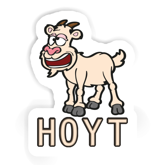 Hoyt Sticker Goat Laptop Image
