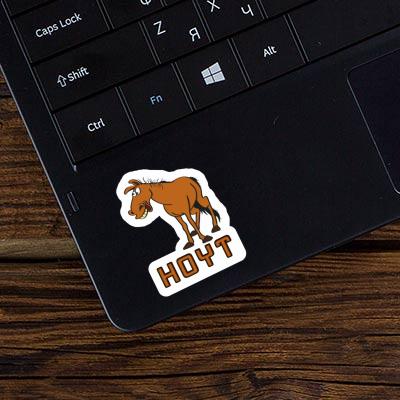 Sticker Hoyt Pferd Image