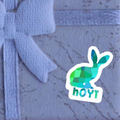Autocollant Hoyt Lapin Gift package Image