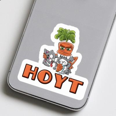 Hoyt Sticker Monster Carrot Gift package Image
