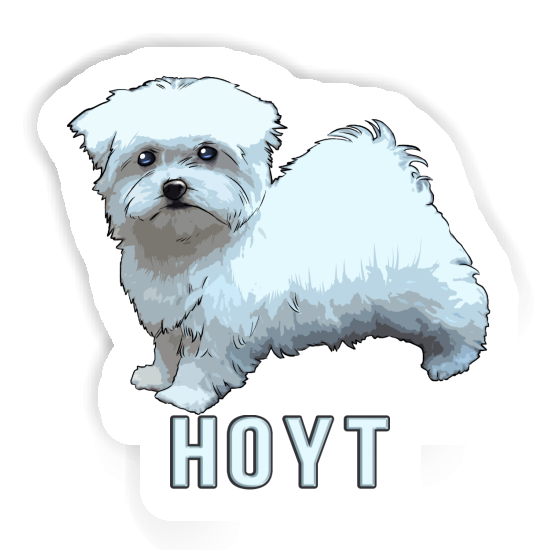 Sticker Maltese Hoyt Gift package Image