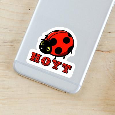 Sticker Ladybug Hoyt Gift package Image