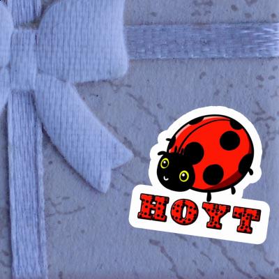 Sticker Ladybug Hoyt Notebook Image