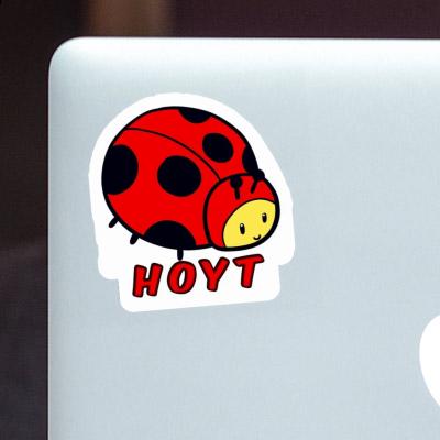 Ladybug Sticker Hoyt Gift package Image