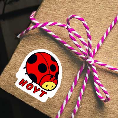 Ladybug Sticker Hoyt Notebook Image