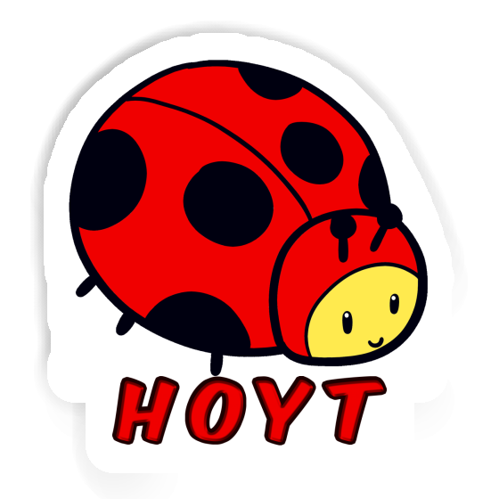 Ladybug Sticker Hoyt Gift package Image