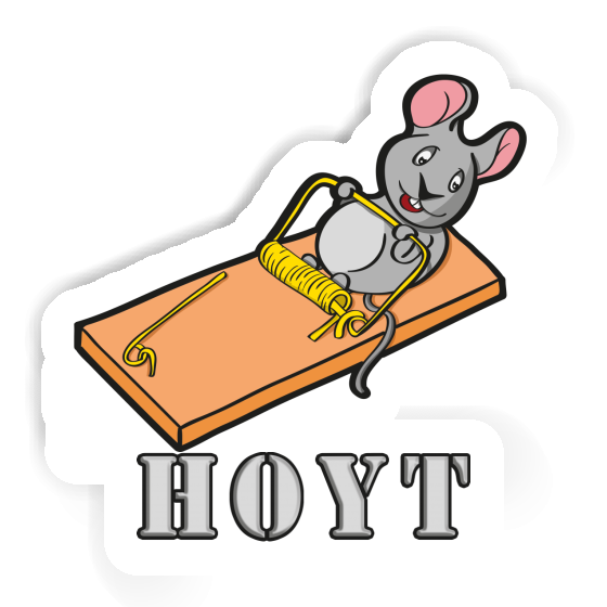 Souris Autocollant Hoyt Gift package Image