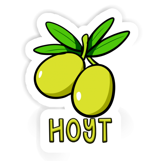 Sticker Hoyt Olive Laptop Image
