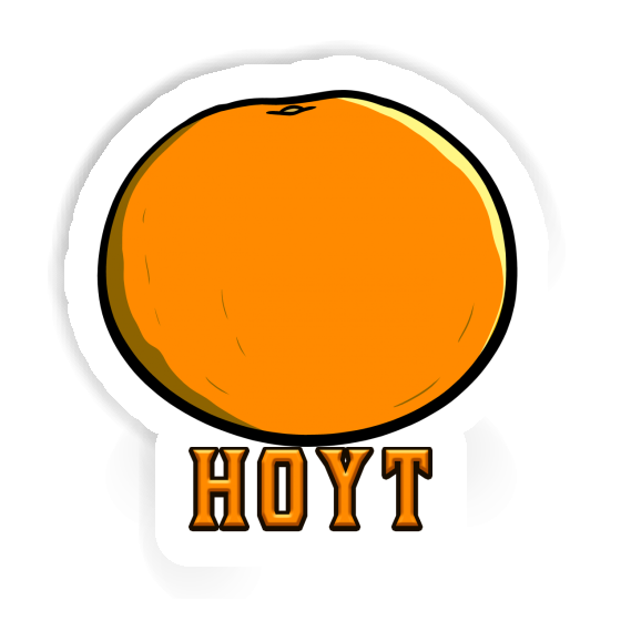 Aufkleber Hoyt Orange Notebook Image