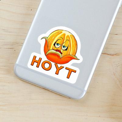 Hoyt Sticker Orange Gift package Image