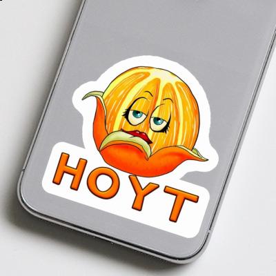 Autocollant Orange Hoyt Notebook Image