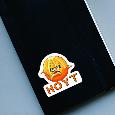 Hoyt Sticker Orange Notebook Image