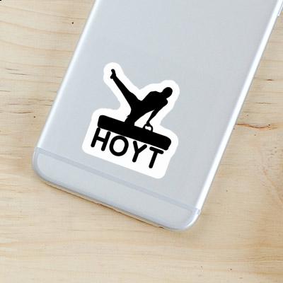 Hoyt Sticker Turner Image
